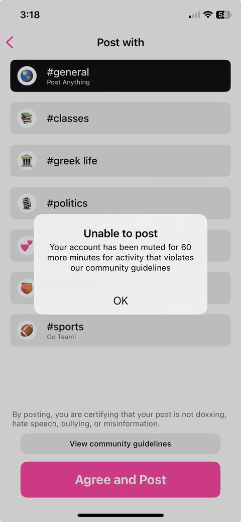 An example notification for a muted user